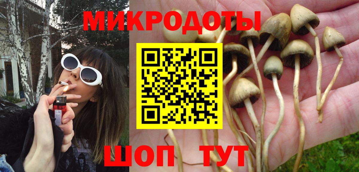 Галлюциногенные грибы Cubensis Фрязино