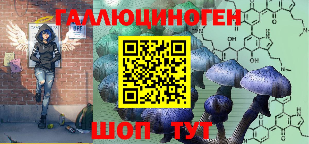 Псилоцибиновые грибы ЛСД  закладка  Фрязино  Вход с VPN 